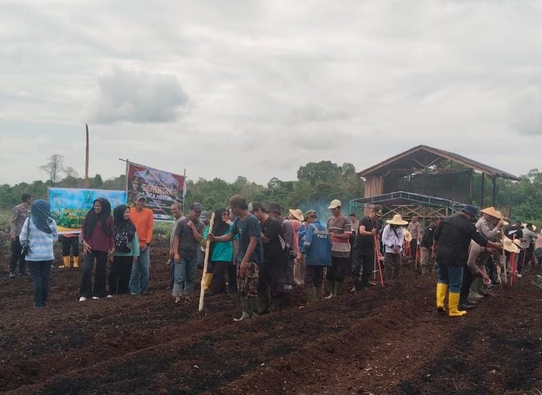 PT Timah Tbk Bersama Polsek Kundur Utara/Barat  Dukung Program Tanam Satu Juta Pohon Jagung 