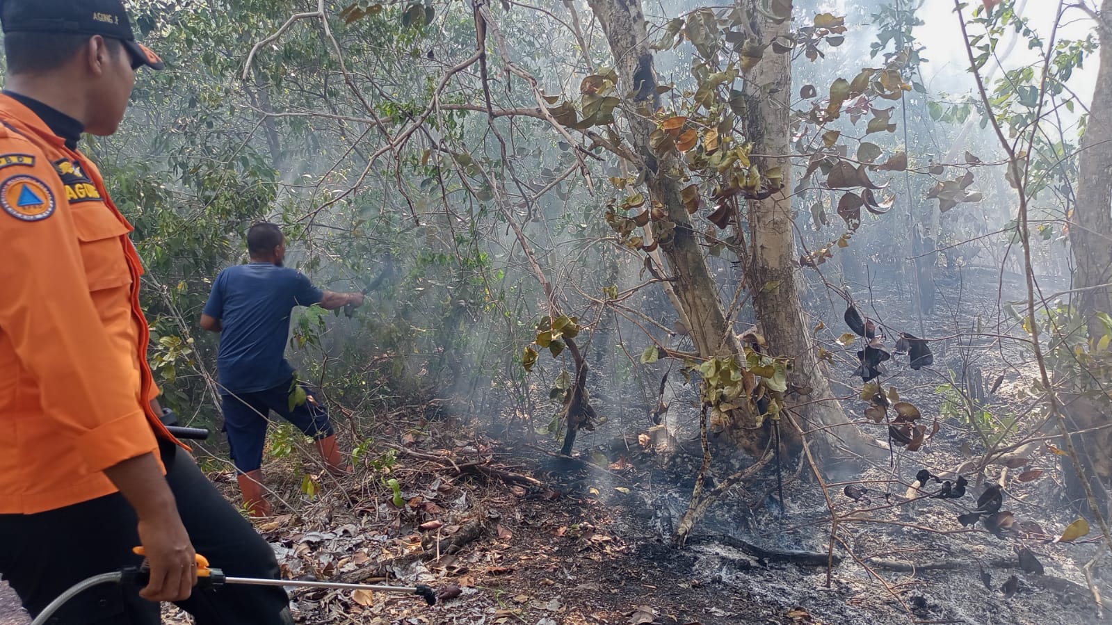 Hutan Bukit Sakbuk Teluk Uber Terbakar 