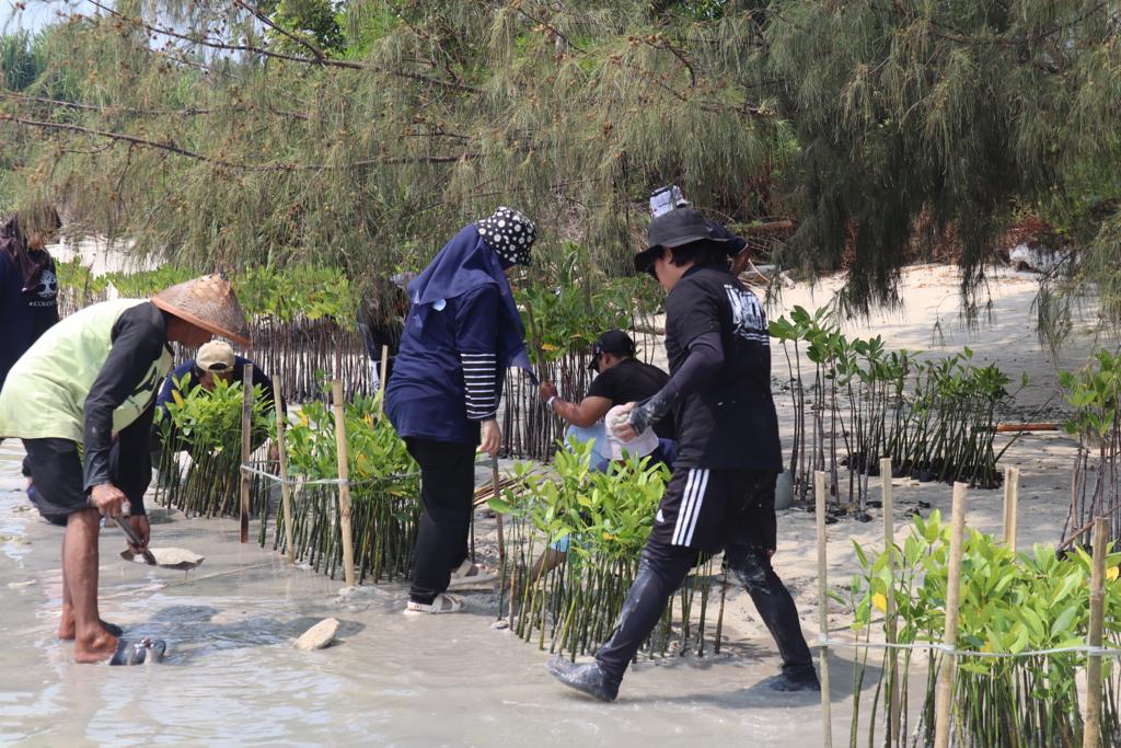 Dukung Pemerintah Bebas Emisi Karbon, BRI Kembali Tanam Mangrove di Pulau Tidung, Total 10.500 Bibit di 2023