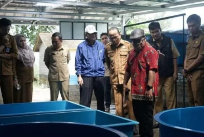 Bateng Jadi Lokasi Pilot Proyek Pembenihan Kepiting Bakau