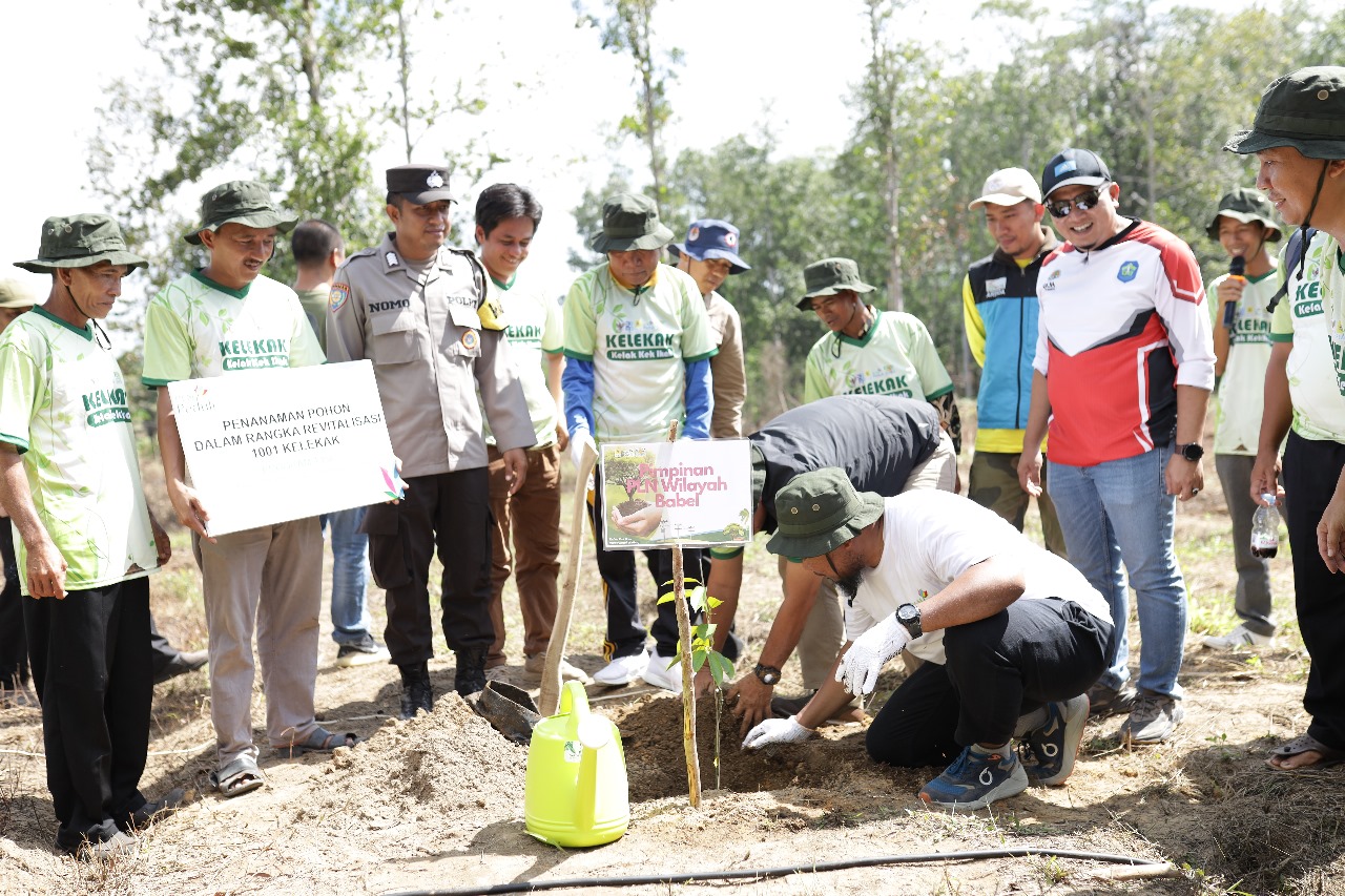 Salurkan Bantuan TJSL Penanamam Pohon 1001 Kelekak, PLN Dukung Green Transformation