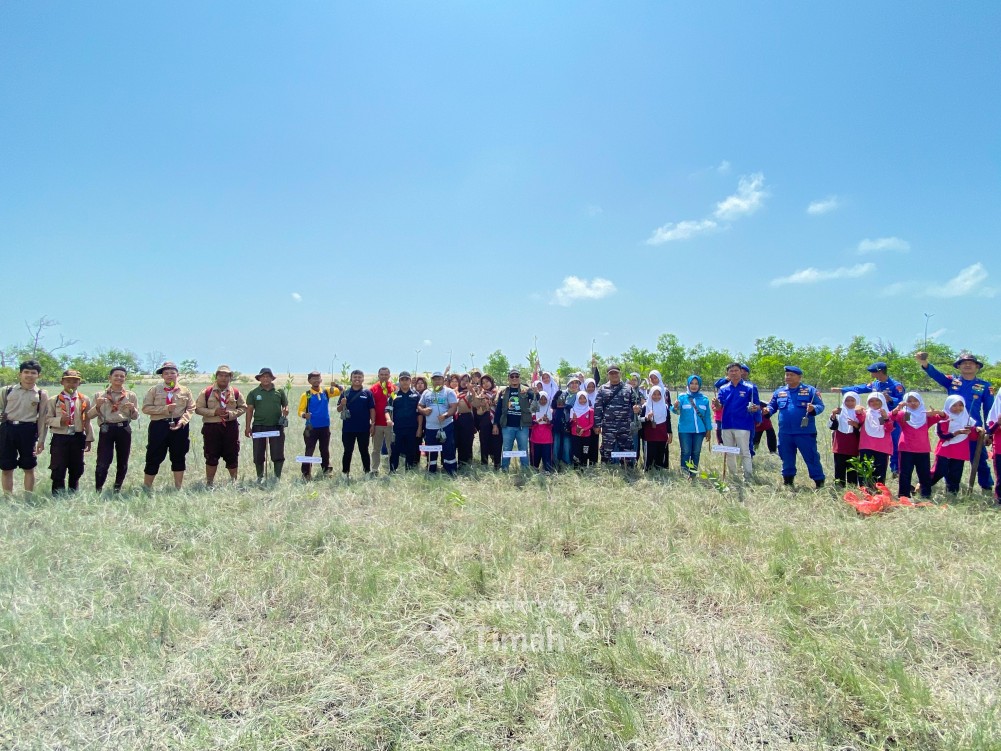 Jaga Ekosistem Pesisir, PT Timah Bersama HNSI Bangka Tanam Ribuan Mangrove di Nelayan II Sungailiat 