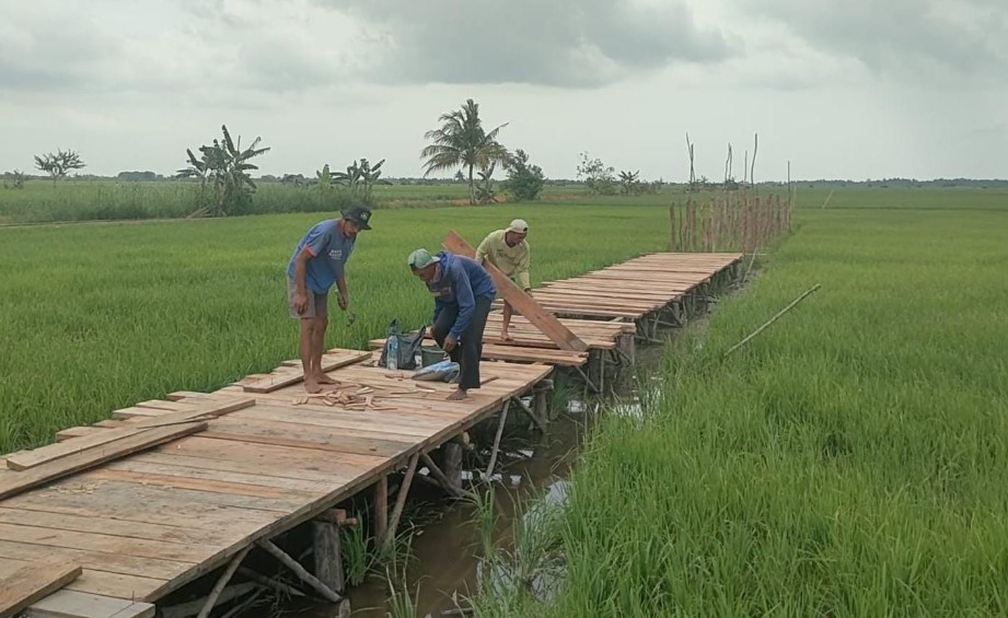 Desa Rias Disulap Jadi Wisata, Sekda : Kombinasi Ketahanan Pangan dan Pariwisata 
