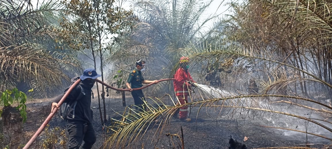Kebakaran Lahan Marak Terjadi di Bangka Belitung, PT Timah Tbk Siap Kerahkan Tim Pemadam Kebakaran
