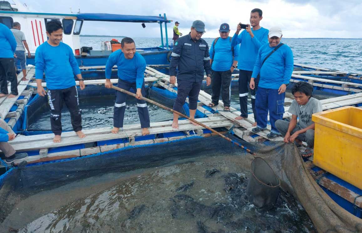PT Timah Tbk Budidayakan Ikan dan Udang Vaname dengan Konsep KJA di Pulau Sukun Belitung Timur 