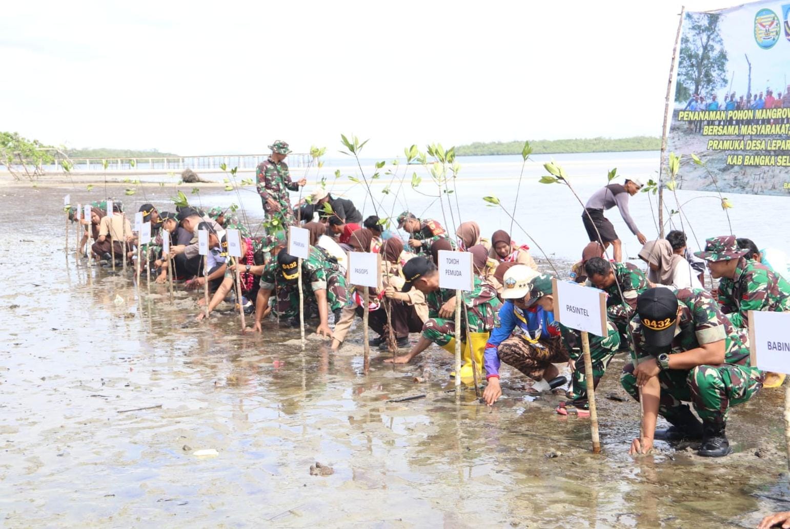 Lestarikan Alam, Kodim Basel Tanam 1000 Batang Mangrove di Kawasan Ini