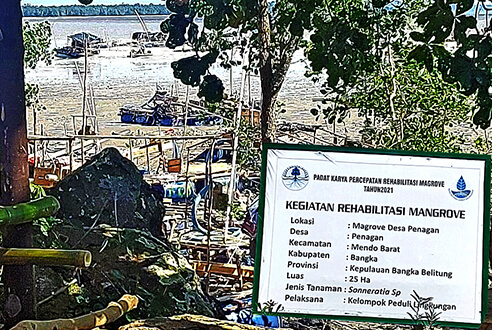 Ketika Satgas dan WPR Belum Belum Tampak, Mangrove Penagan Luluk Lantak!