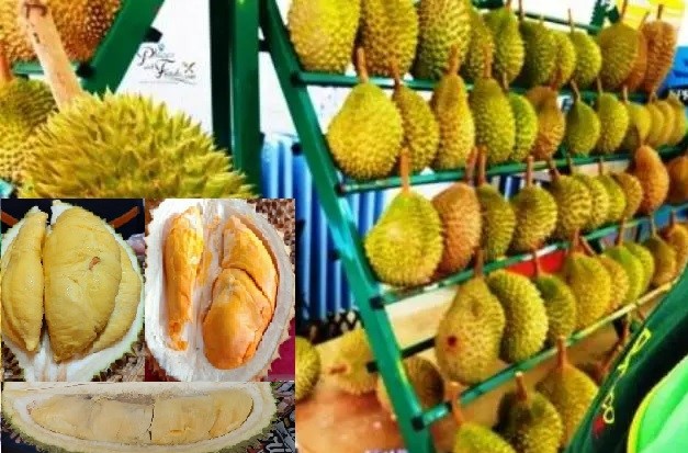 Dari Semua Jenis Durian Asal Babel, 'Tai Babi' Justru Termahal di Dunia