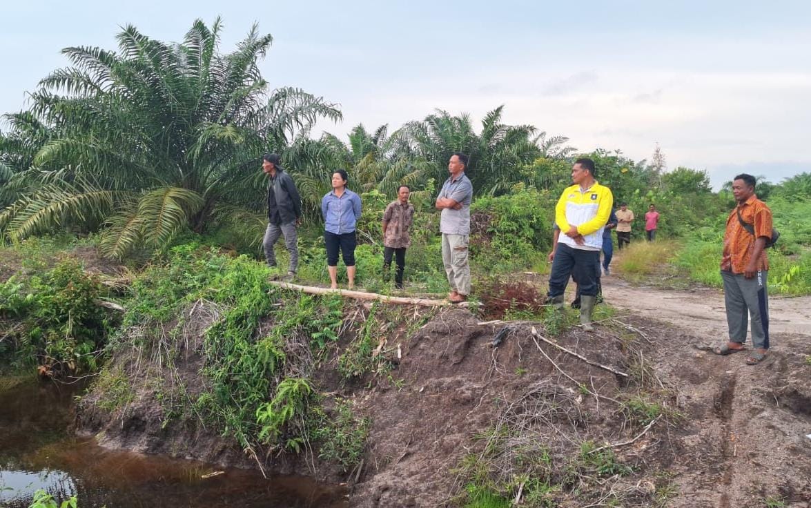 Sawah LP2P Limus Berubah Diduga Jadi Lahan Sawit, Rina Tarol Minta APH Sikat Mafia Tanah