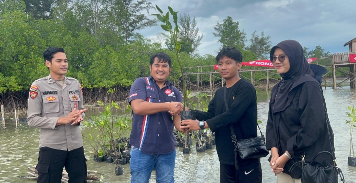 Wujud Komitmen Pelestarian Lingkungan, Honda Babel Tanam Mangrove di Pulau Lepar Bersama Mahasiswa UBB