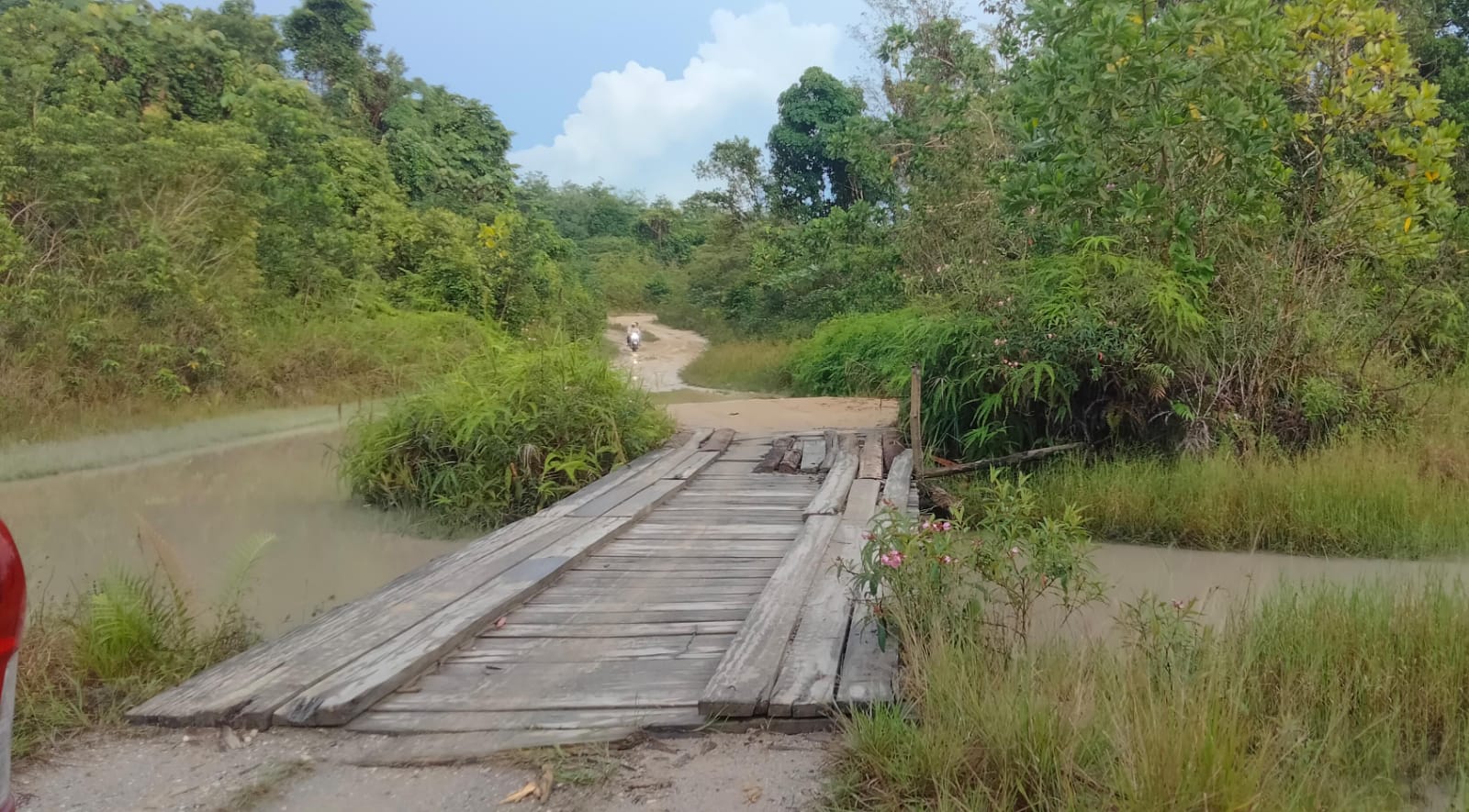 Hutan Dusun Kelidang Diobrak-abrik Alat Berat