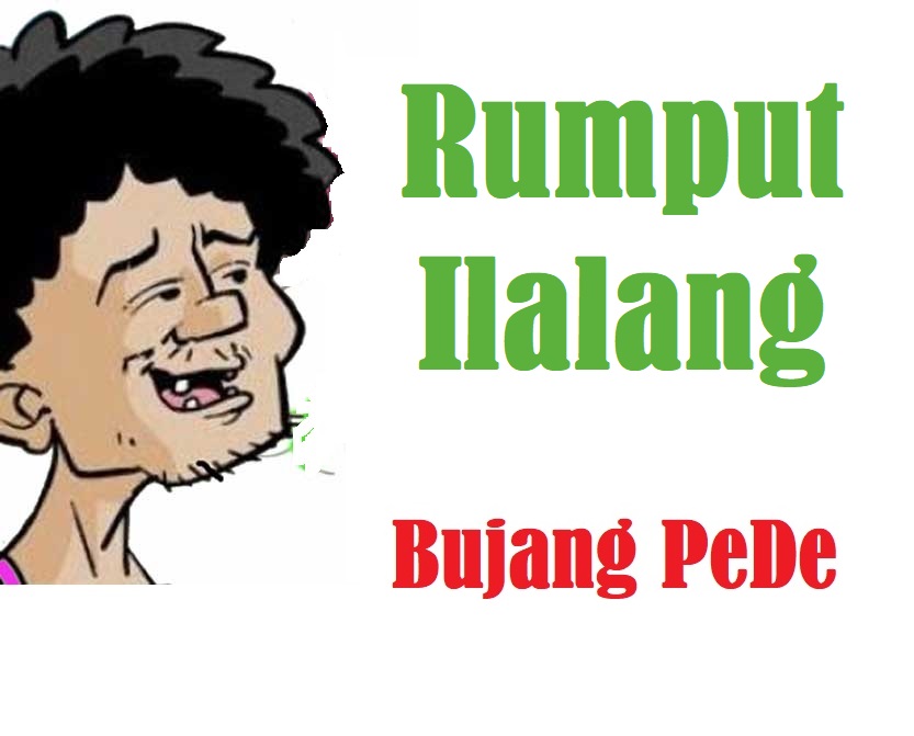 Rumput Ilalang