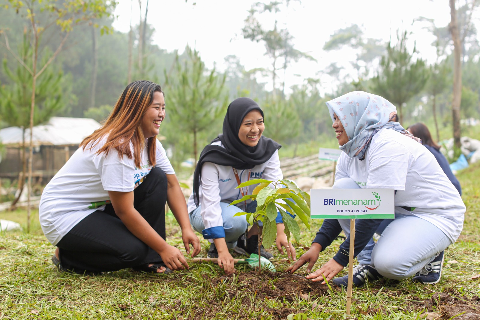 Dukung AIPF 2023, Ini Jurus BRI Dukung Pemerintah Menuju Ekonomi Rendah Karbon