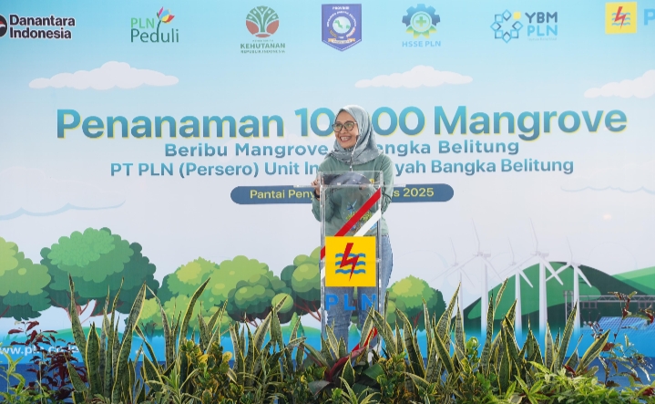 PLN Babel Tanam 10.000 Mangrove di Pantai Penyak, Pulihkan Ekosistem Pesisir Bangka Tengah