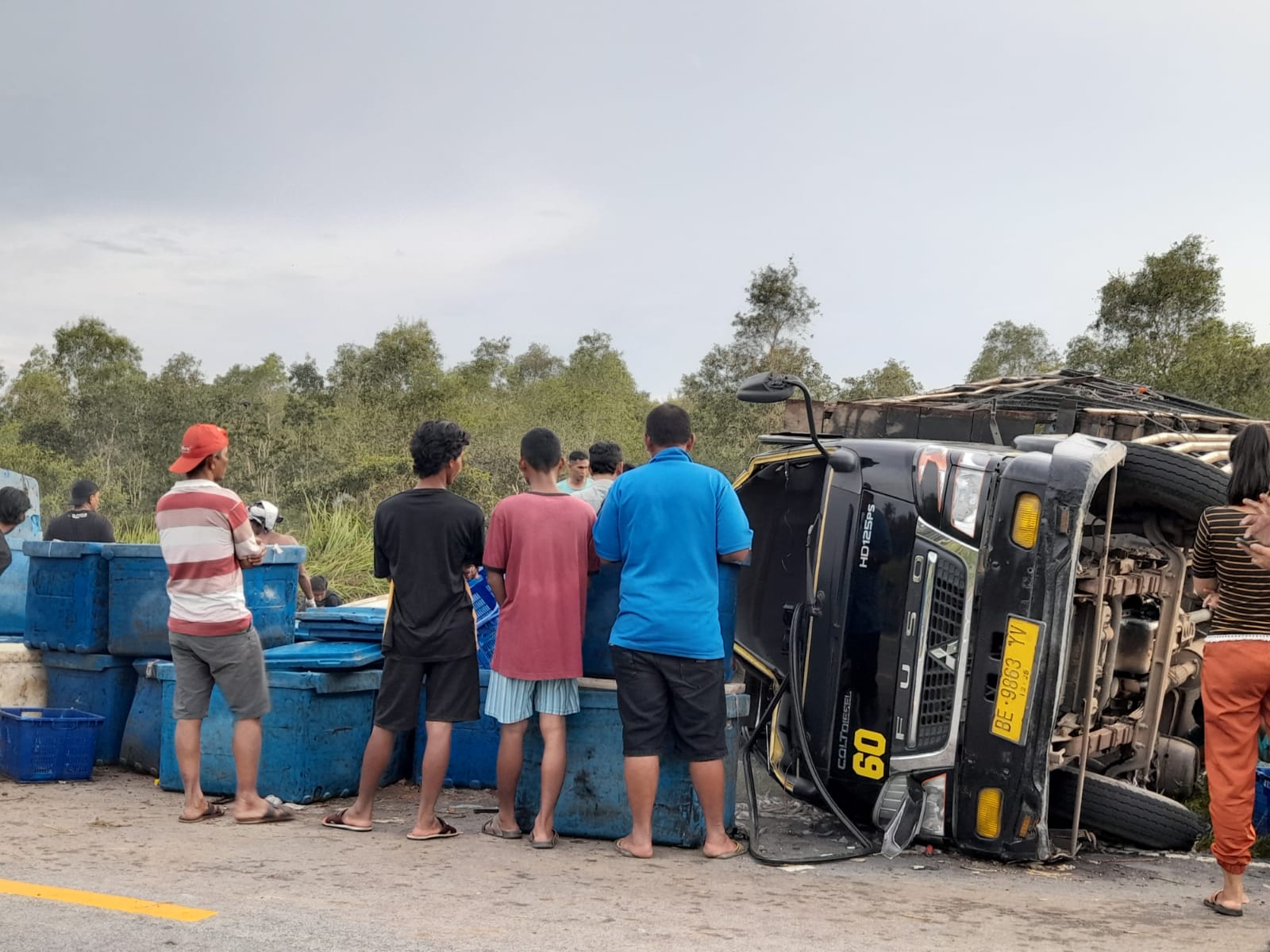 Truk Terguling Tumpahkan Udang ke Jalan, Ini yang Dilakukan Warga 