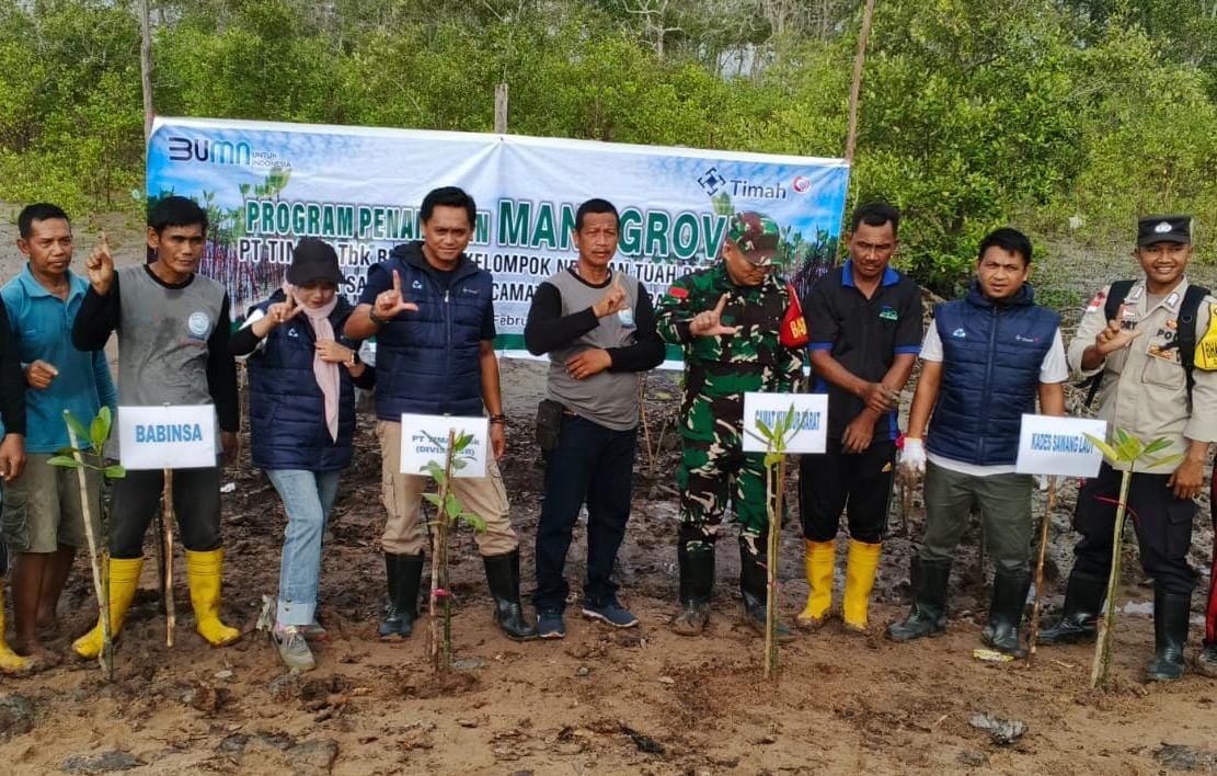 Mangrove untuk Pesisir Berkelanjutan, PT Timah Kembali Tanam Ribuan Mangrove di Desa Sawang Laut 