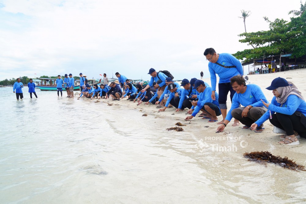 Dukung Pariwisata dan Ekosistem Laut, PT Timah Tbk Bersama AAI Sumbagsel Lepasliar Tukik di Pulau Kelayang