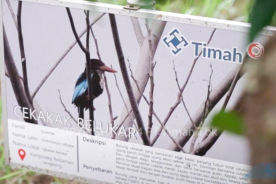 Bersama PPS Alobi, PT Timah Tbk Rawat dan Kembalikan Satwa ke Alam Bebas