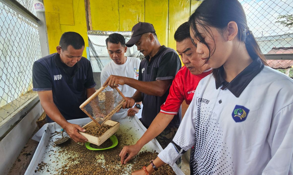 Lapas Pangkalpinang Perkuat Kemandirian Warga Binaan Lewat Budidaya Magot Bernilai Ekonomi