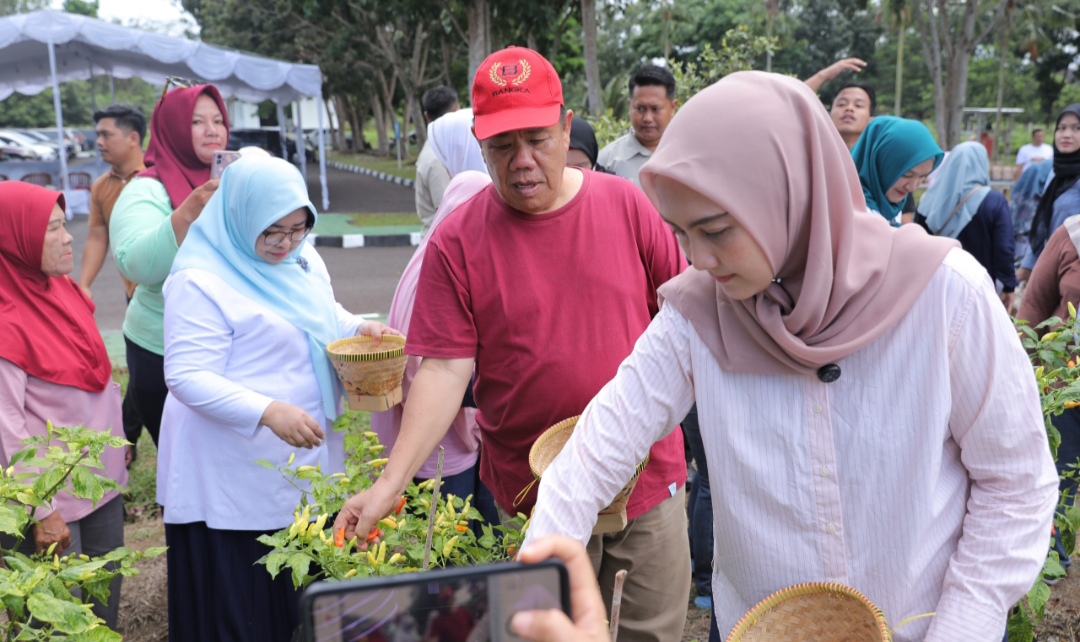 GENCAR Membuahkan Hasil, Bukti Komitmen Gubernur Hidayat Arsani Sukseskan Program Ketahanan Pangan