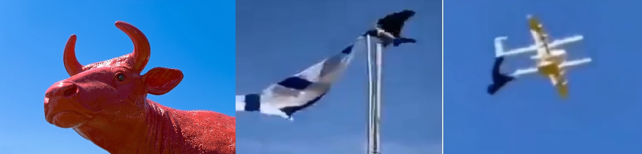 Ingat! 3 Pertanda ke Israel. Sapi Merah Lahir, Burung Gagak Hancurkan Drone dan Robek Bendera