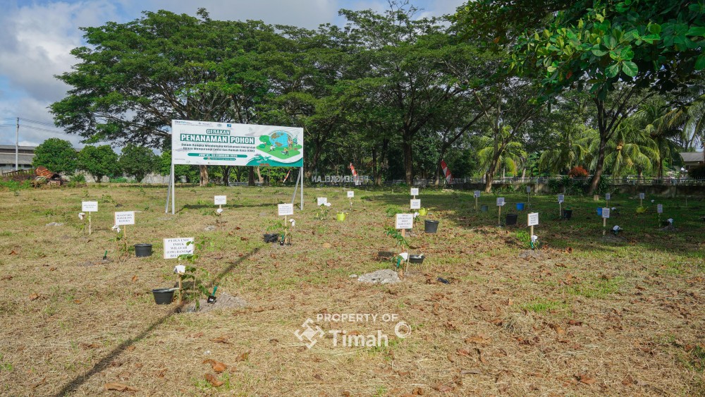 Kolaborasi Tingkatkan Ketahanan Energi, PT Timah Bersama PLN dan METI Tanam 1500 Pohon Angsana di Taman Energi