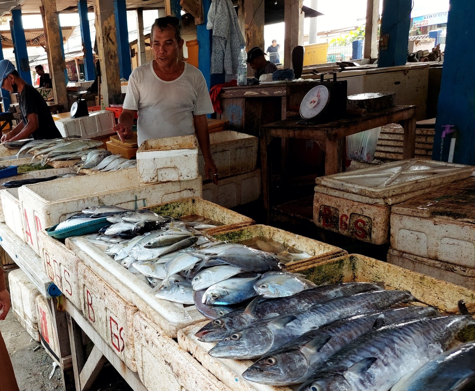 Diminati Nelayan, Registrasi Resi Gudang Komoditas Ikan Meningkat Tajam