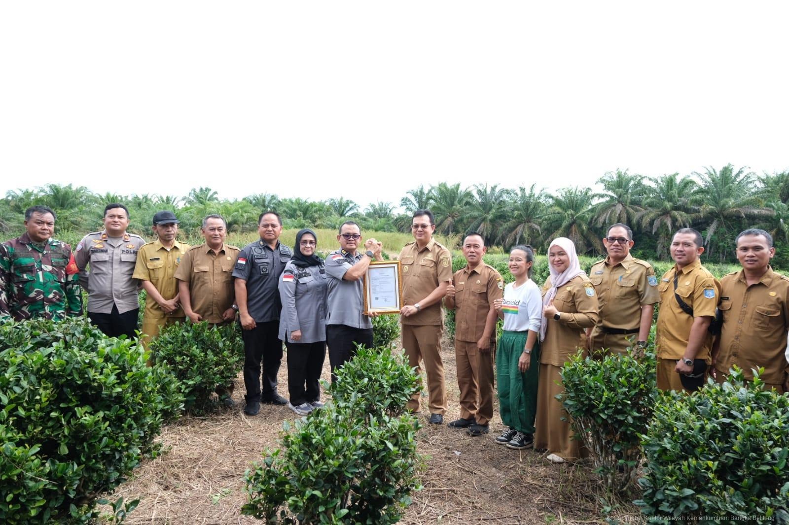 Teh Tayu Jebus Resmi Terdaftar sebagai Indikasi Geografis