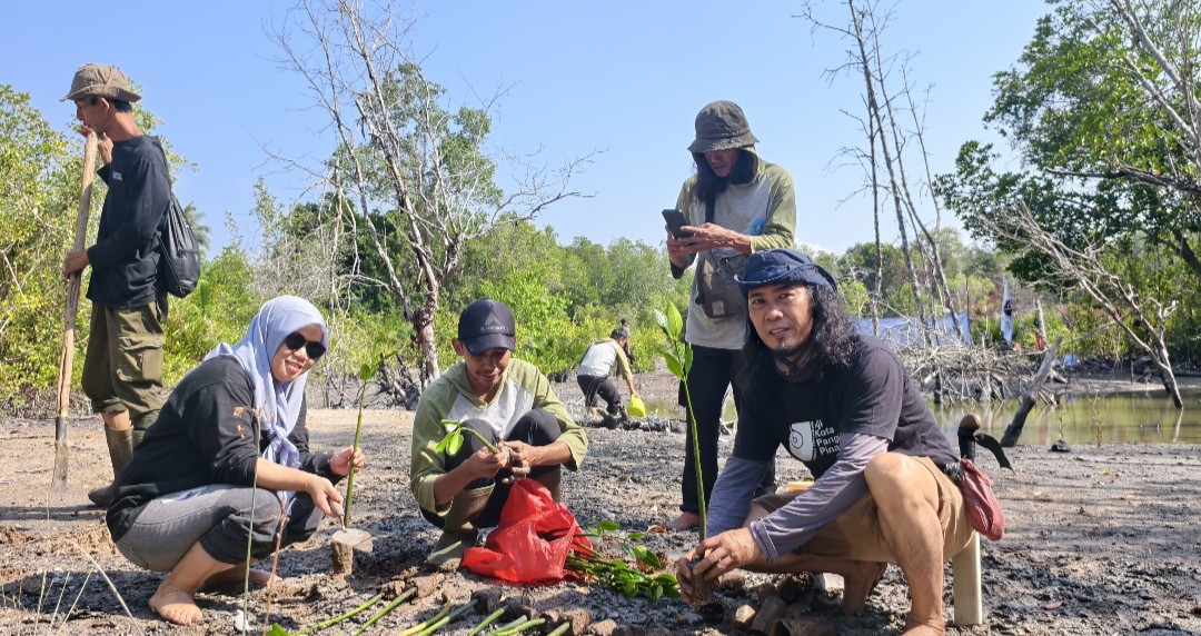 Kolaborasi AJI Pangkalpinang dan Komunitas Lingkungan, Tanam Mangrove di Eks Tambang DAS Hakok