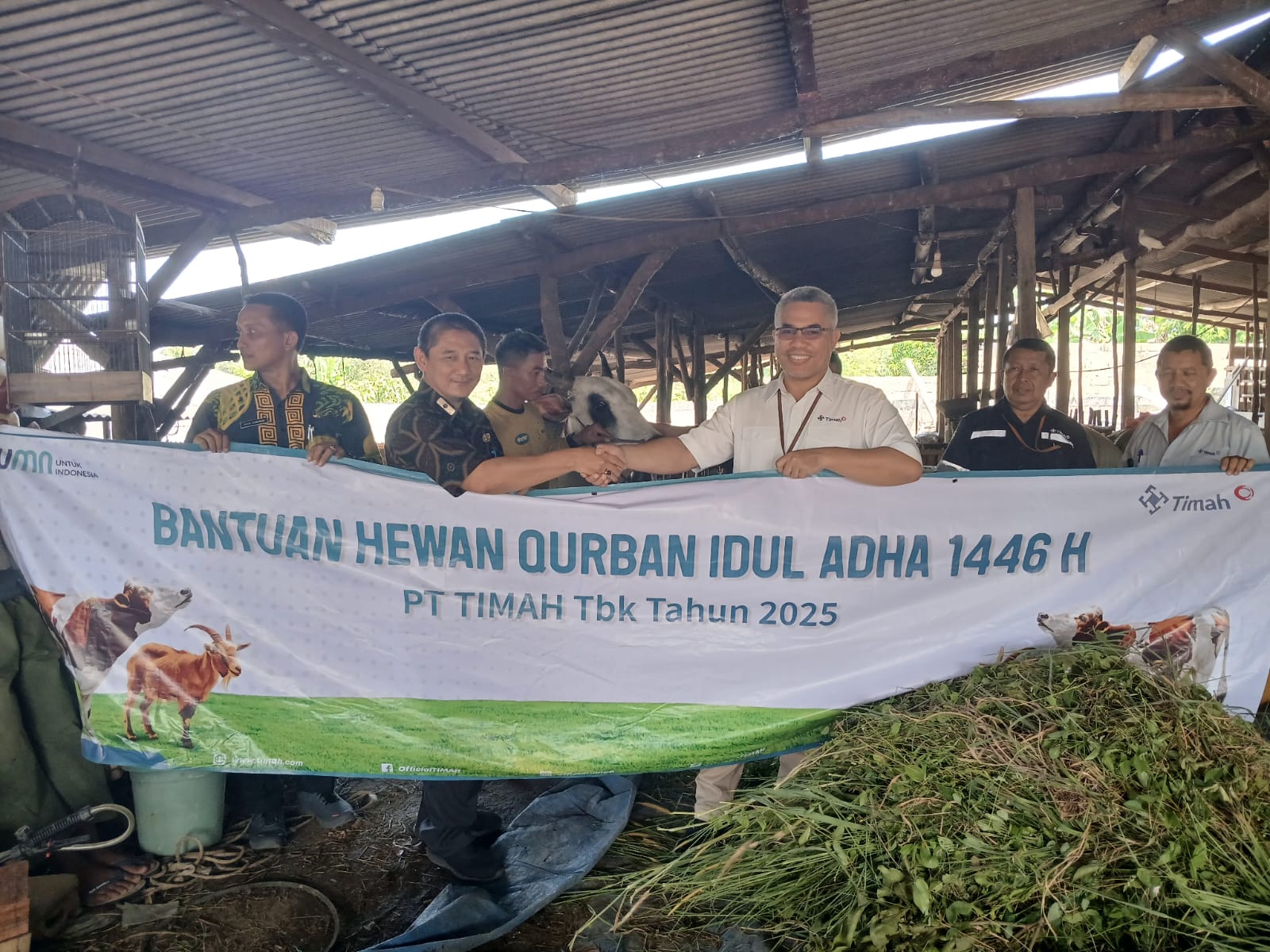 Pererat Silaturahmi, PT Timah Tebar Ratusan Hewan Kurban di Empat Provinsi