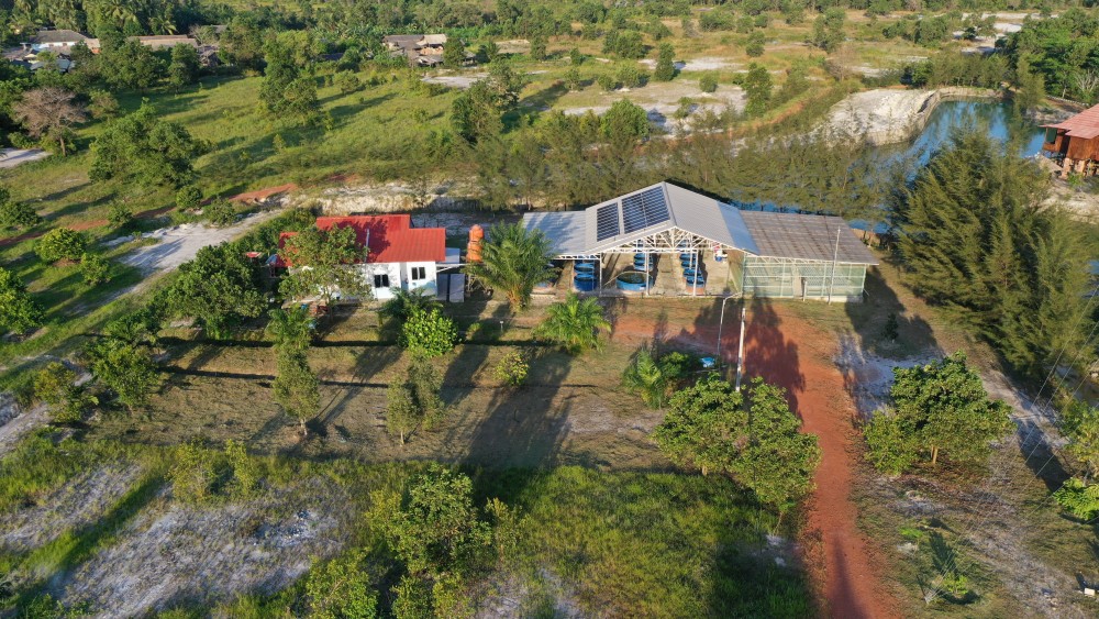 Dorong Masa Depan Hijau, Inisiatif PT Timah Kurangi Konsumsi Energi untuk Capai Net Zero Emission
