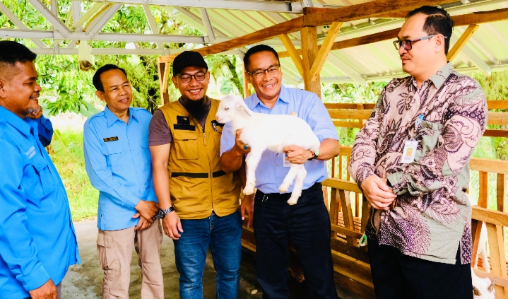 PLN Serahkan Bantuan TJSL Pemberdayaan Kelompok Kambing Perah di Pangkalpinang