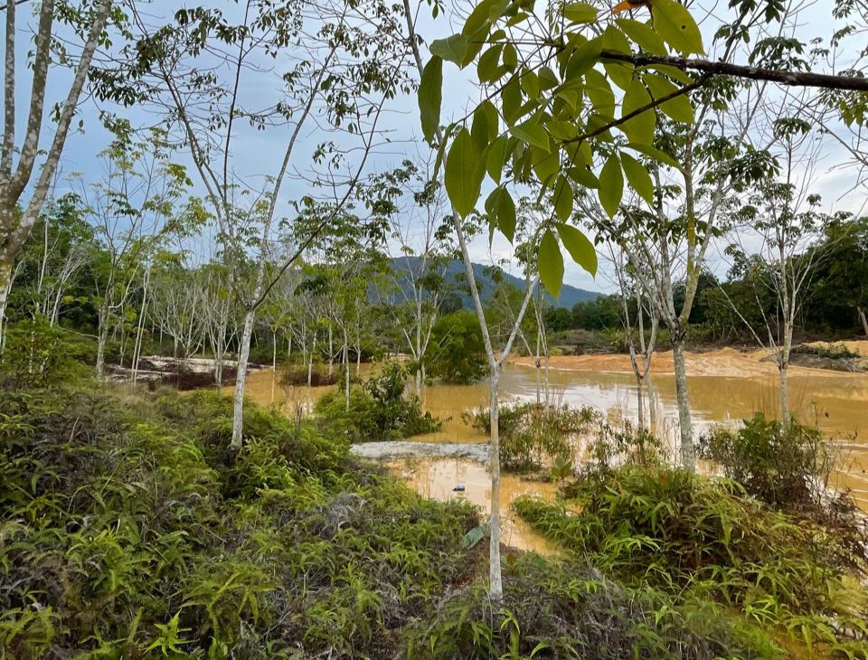 Limbah Tambang Timah di Mentok Ini Rusak Kebun Warga