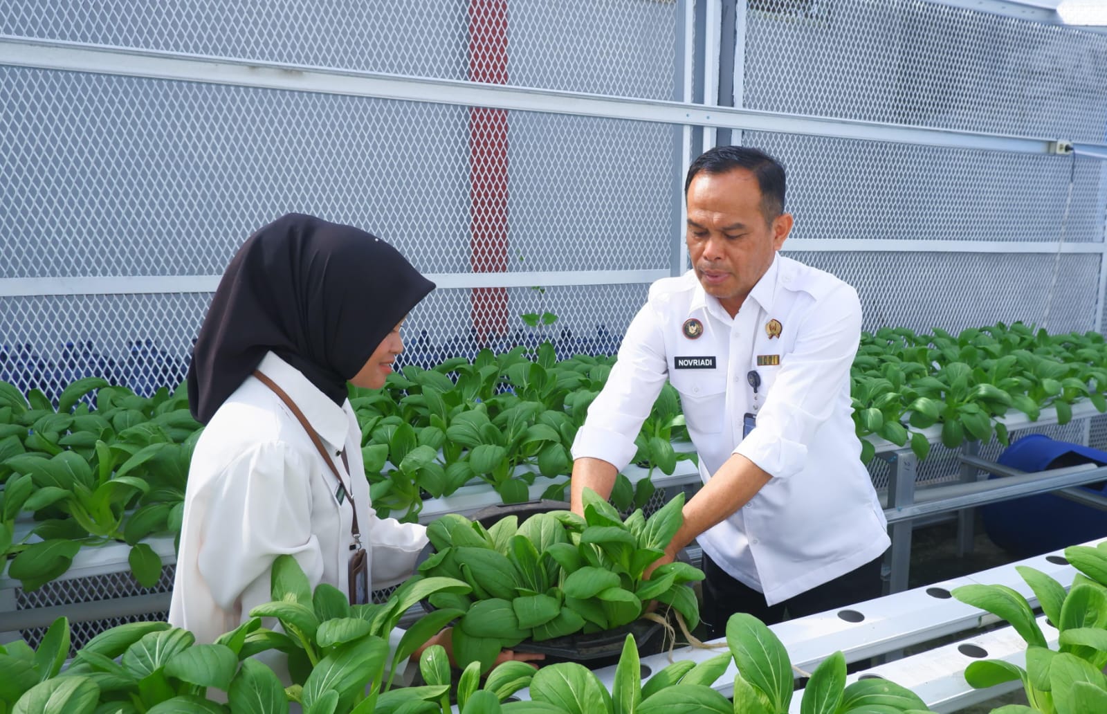 Transformasi Pembinaan Berkelanjutan di Lapas Narkotika Pangkalpinang, Inilah Capaian Kinerja 2025