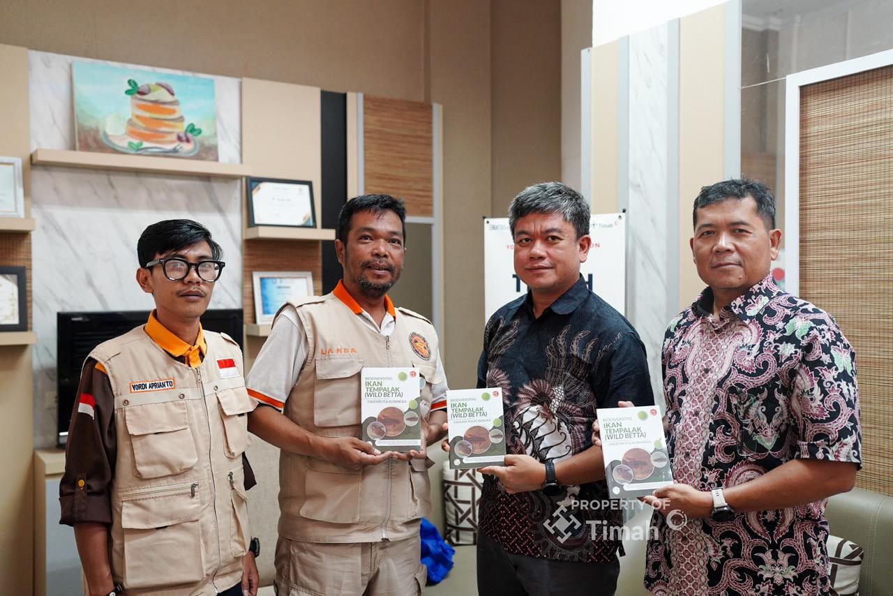 PT Timah Gandeng The Tanggokers Lestarikan Ikan Endemik Bangka