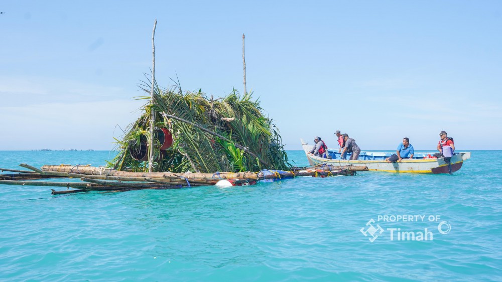 Tenggelamkan 1.434 Rumpon, Langkah Nyata PT Timah dalam Membangun Fishing Ground Berkelanjutan
