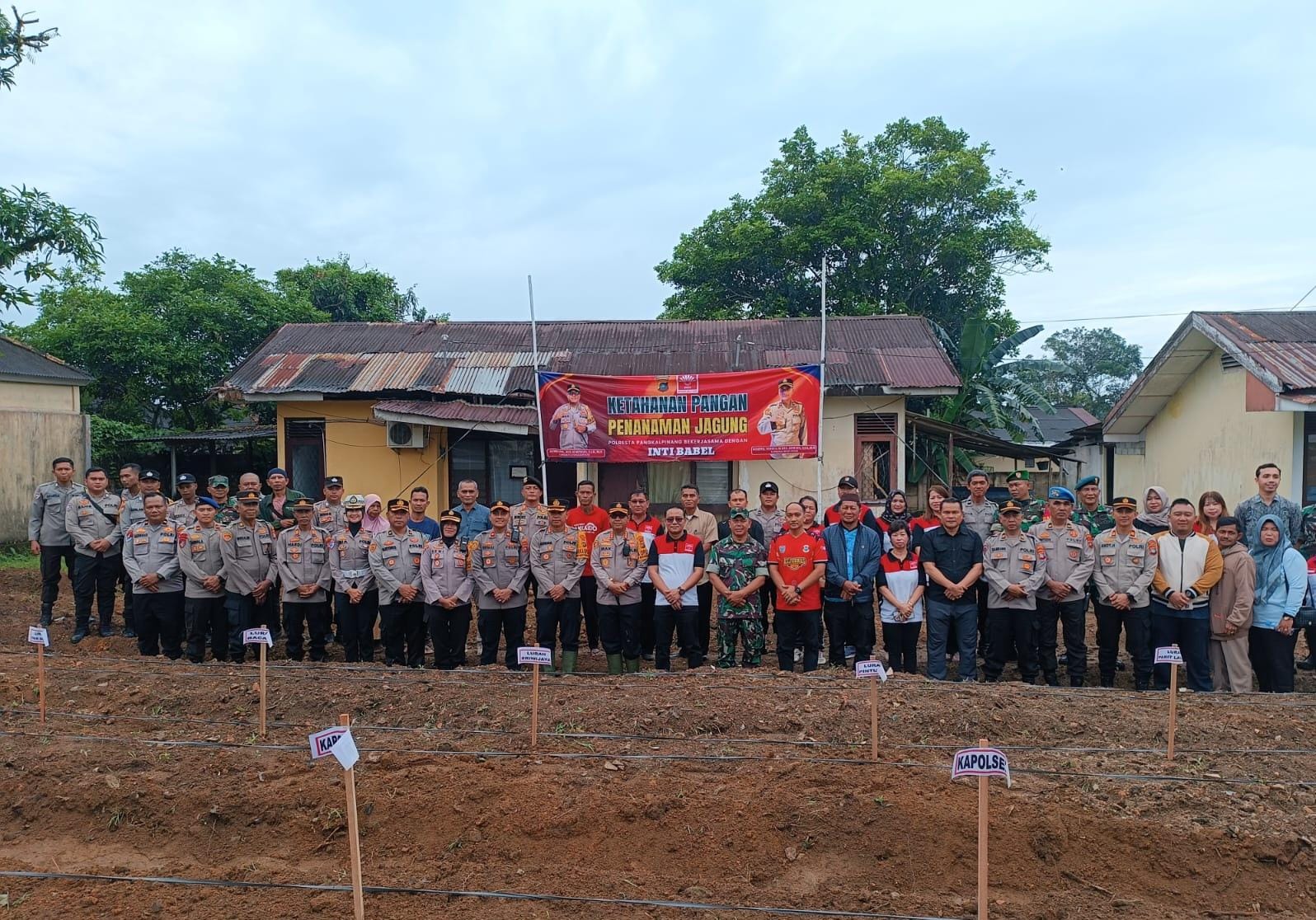 Dukung Ketahanan Pangan Nasional, Polsek Bukit Intan Tanam Jagung di Lahan 0,4 Hektare