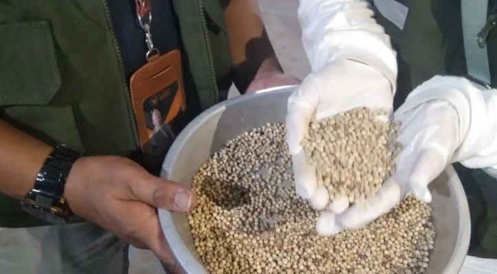 1,37 Ribu Ton Lada Putih Babel Tembus 5 Negara, Nilai Ekspor Capai Rp180 Miliar