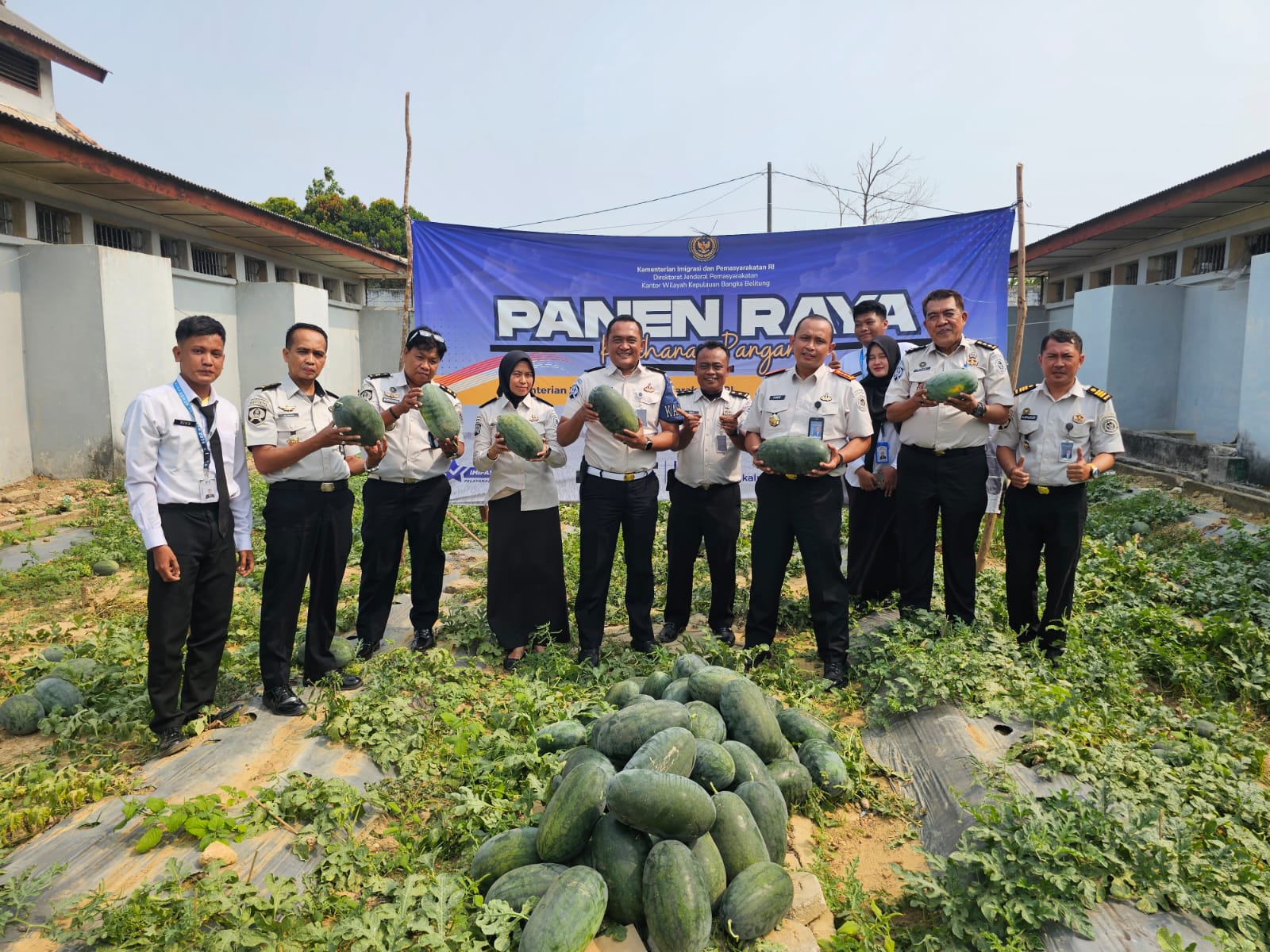 Lapas Pangkalpinang Panen Raya 518 Kg Citrullus Lanatus 
