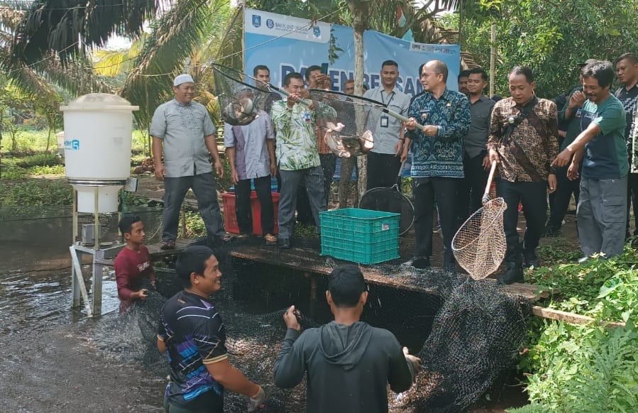 Modal 22 Juta, Sekali Panen Untung 9 Juta, Budidaya Ikan Air Tawar Menjanjikan