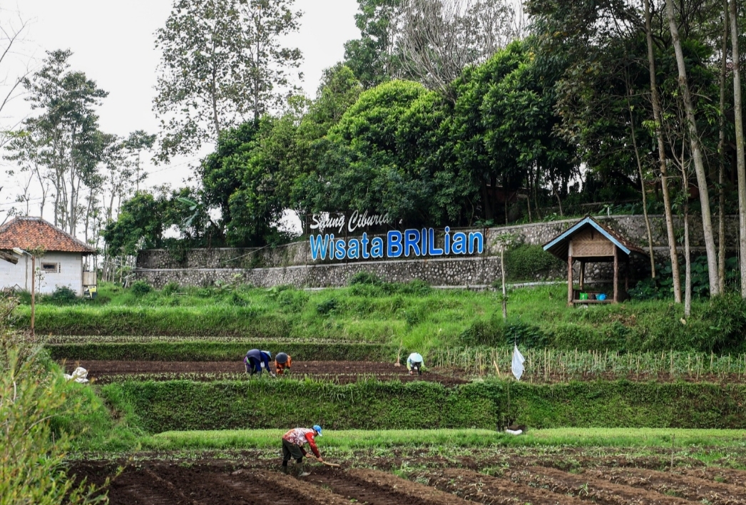 Jangkau 5.245 Desa BRILiaN, BRI Perluas Dukungan bagi Pengembangan Ekonomi Desa
