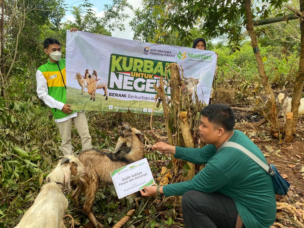 Yakesma Babel Bagikan Hewan Kurban Sepulau Bangka