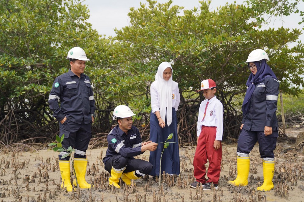 Gencarkan Penanaman Mangrove, Langkah Nyata PT Timah dalam Mitigasi Perubahan Iklim 