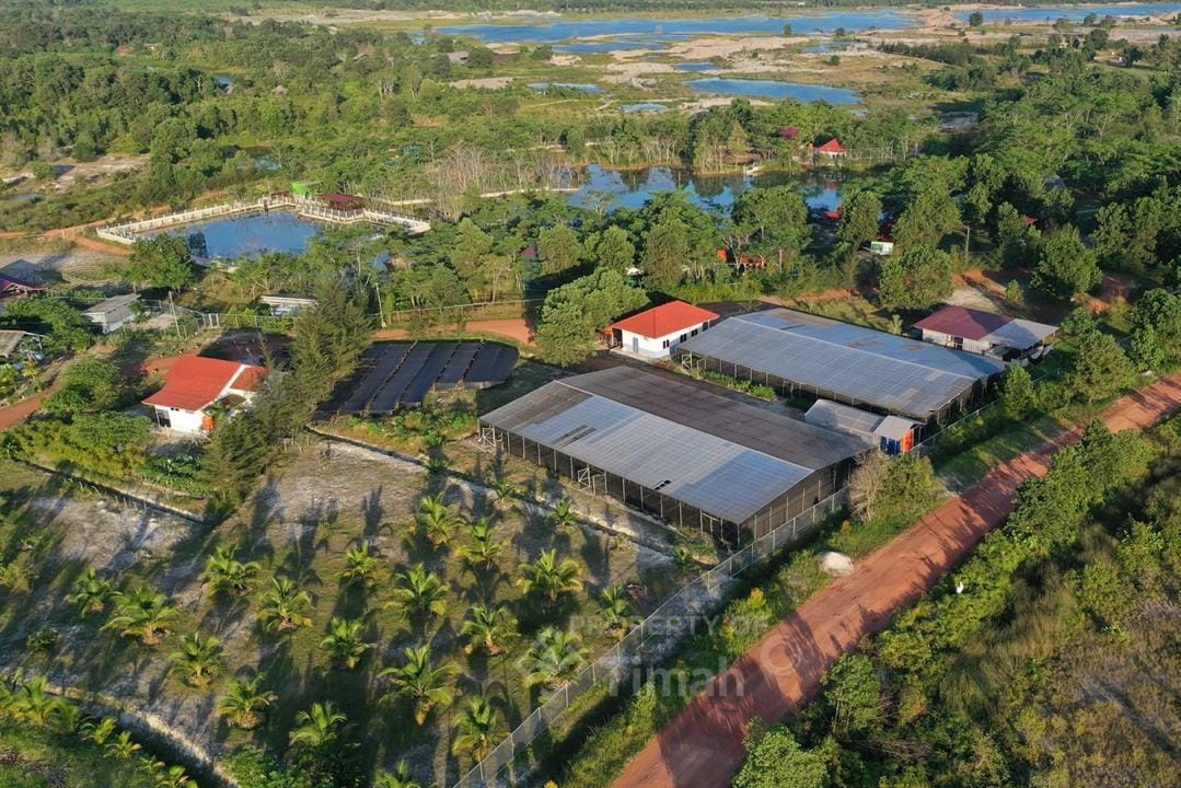 Dari Reklamasi hingga Mangrove, PT Timah Tbk Dorong Pemulihan Lingkungan Berkelanjutan