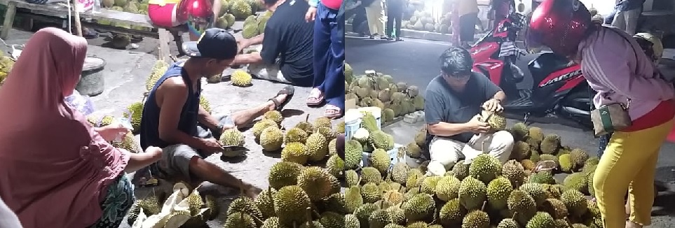  Durian Lokal Banjir di Sepanjang Jalan.  'Tai Babi' dan Super Tembaga, Ada Nggak?