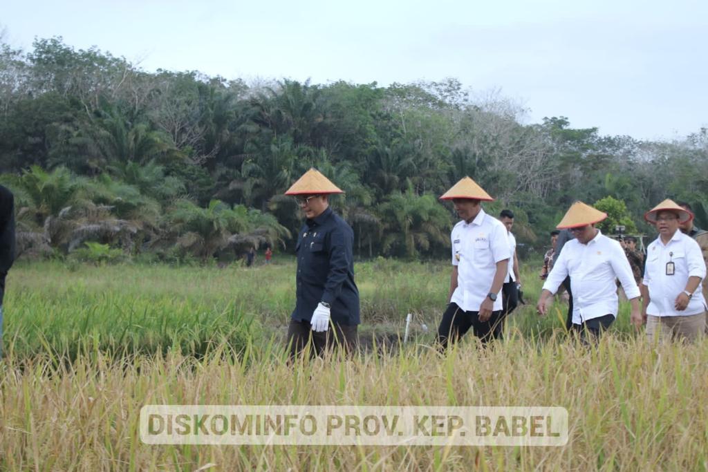 Kunjungi Desa Petaling Jaya, Wamentan RI Ajak Petani Berinovasi Kelola Pertanian