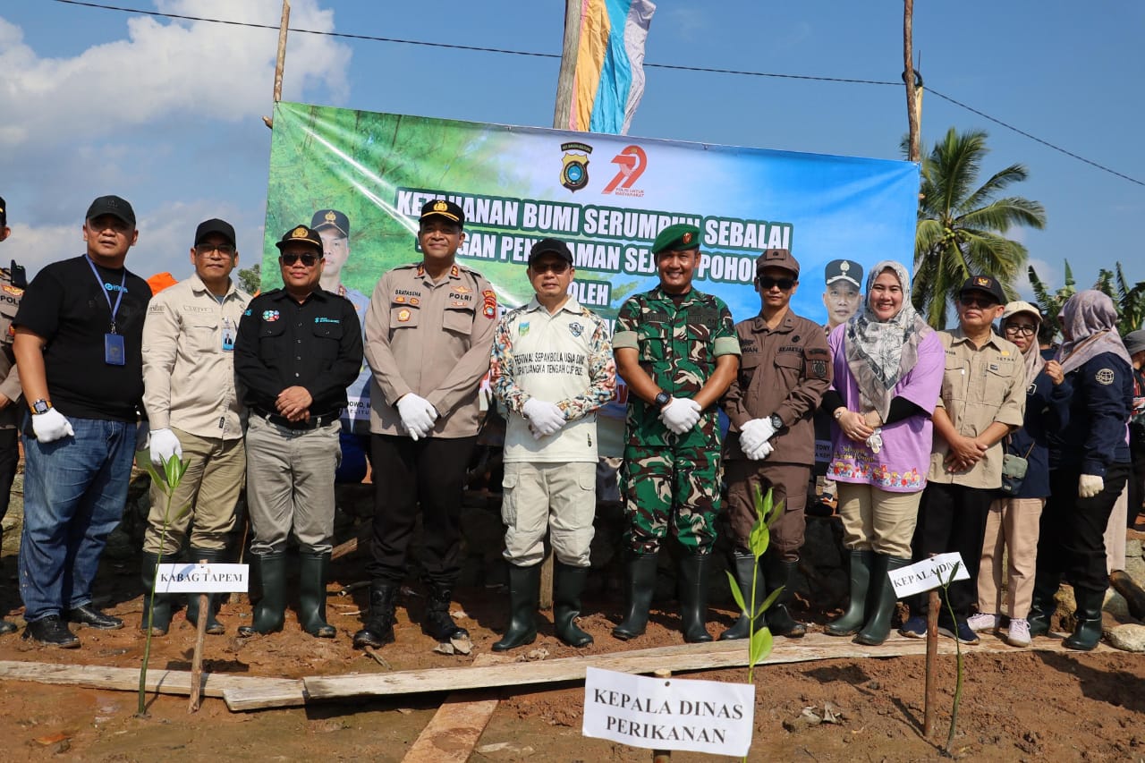 Pemkab dan Polres Bateng Tanam Ribuan Bibit Mangrove Di Desa Kurau