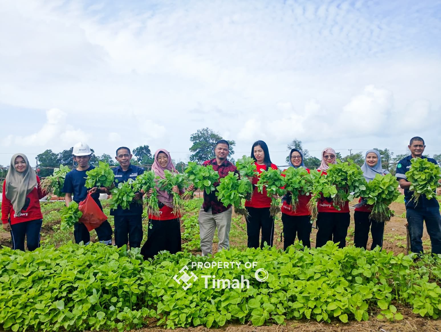 Tidak Hanya Dukung Ketahanan Pangan, Farm Estate Tanjung Ular Ciptakan Kesempatan Kerja Bagi Masyarakat 