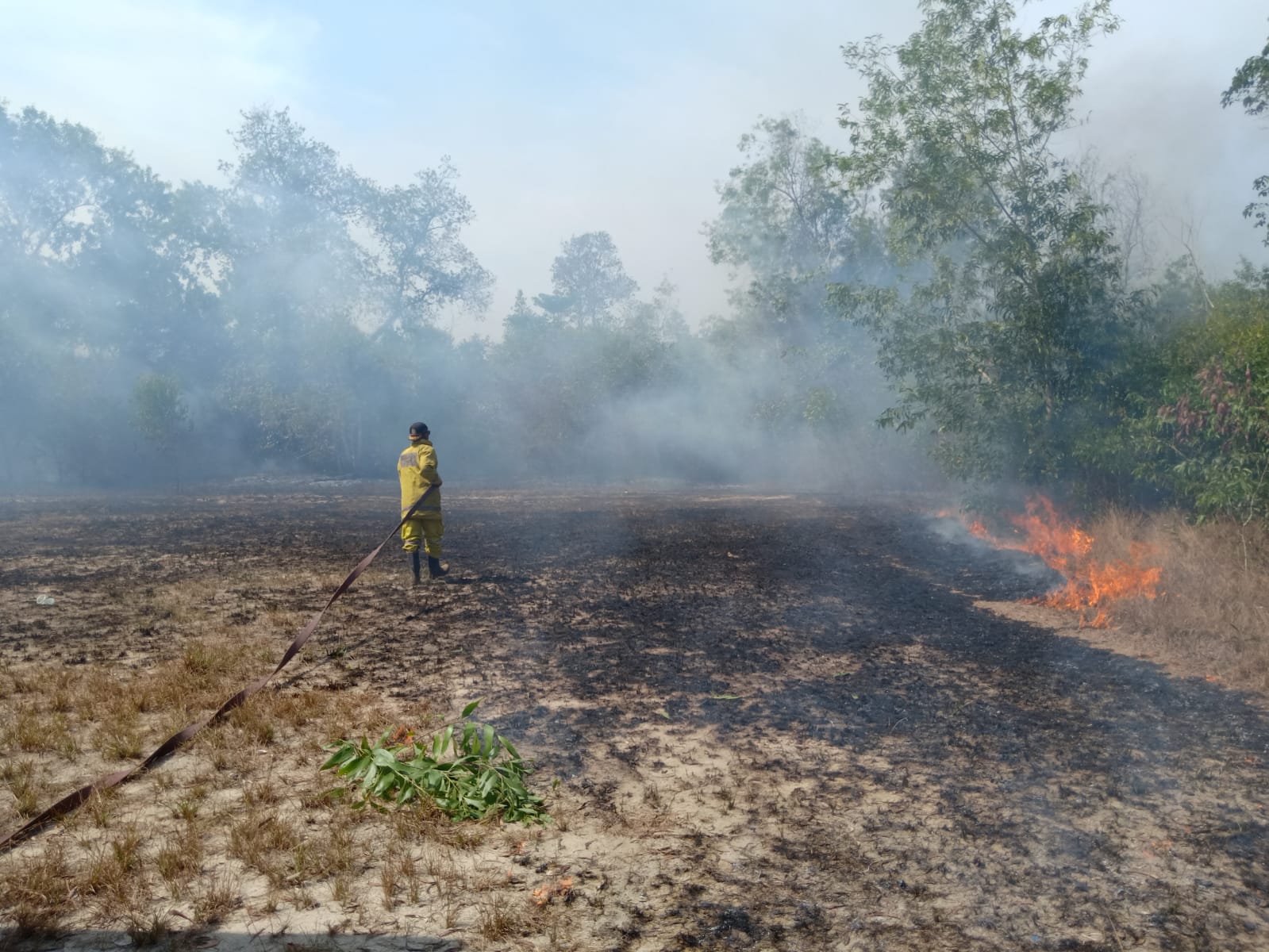 Hutan Lindung Sinar Laut Terbakar, Asap Halangi Pengendara 