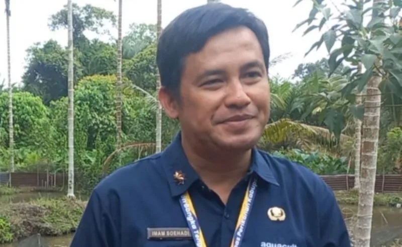 Produksi udang vaname Bangka Tengah capai 1.794,65 ton